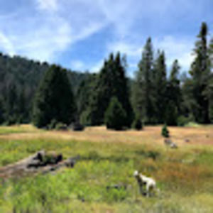 Meet your Posher, En